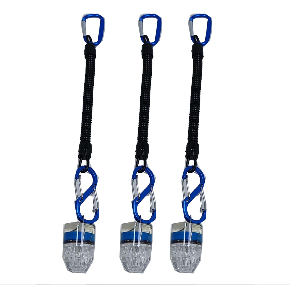 Fish Alarm - 2-3 stuks LED-vislampen met touw, onderwater