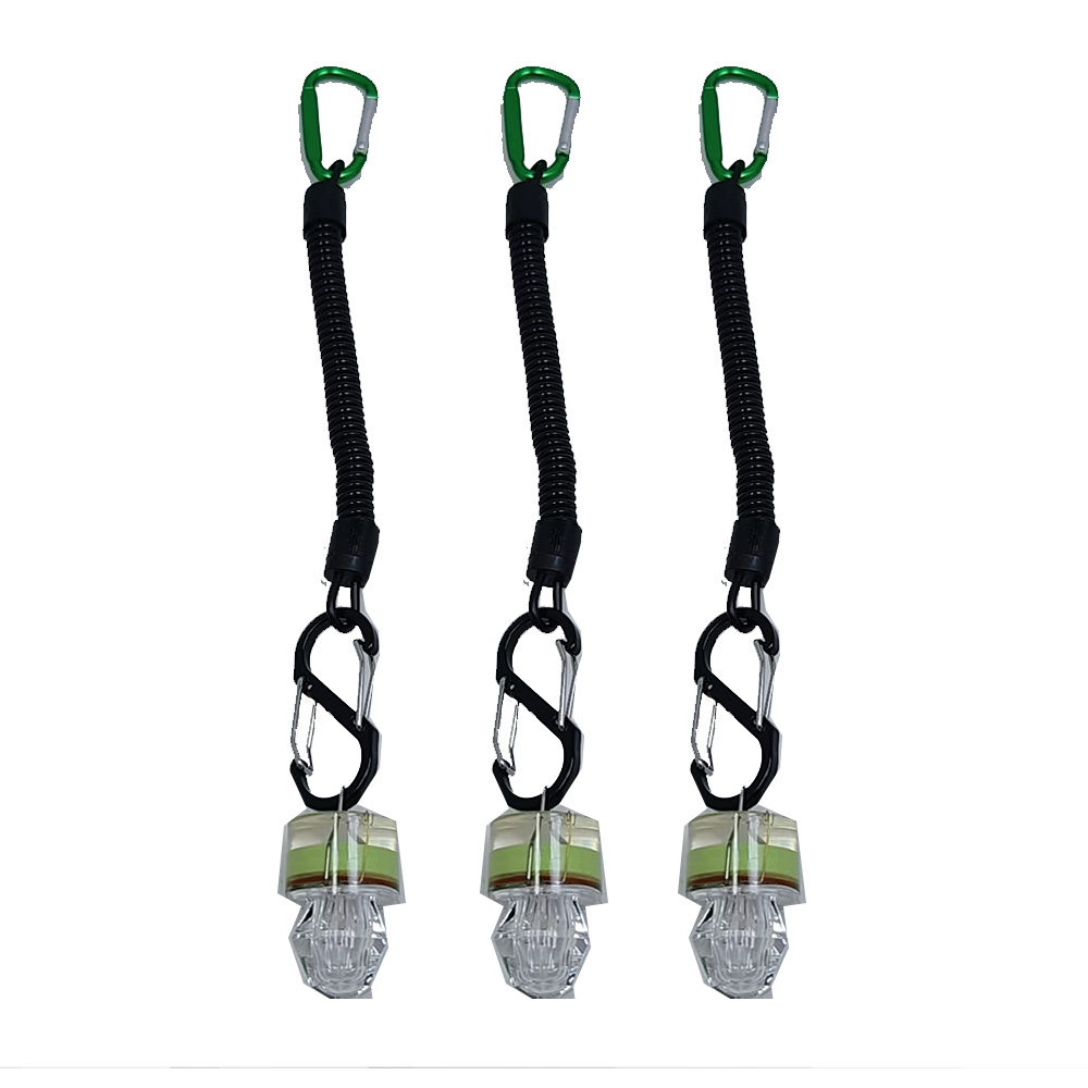 2-3 stuks LED-vislampen met to - Fish Alarm recensie en prijs