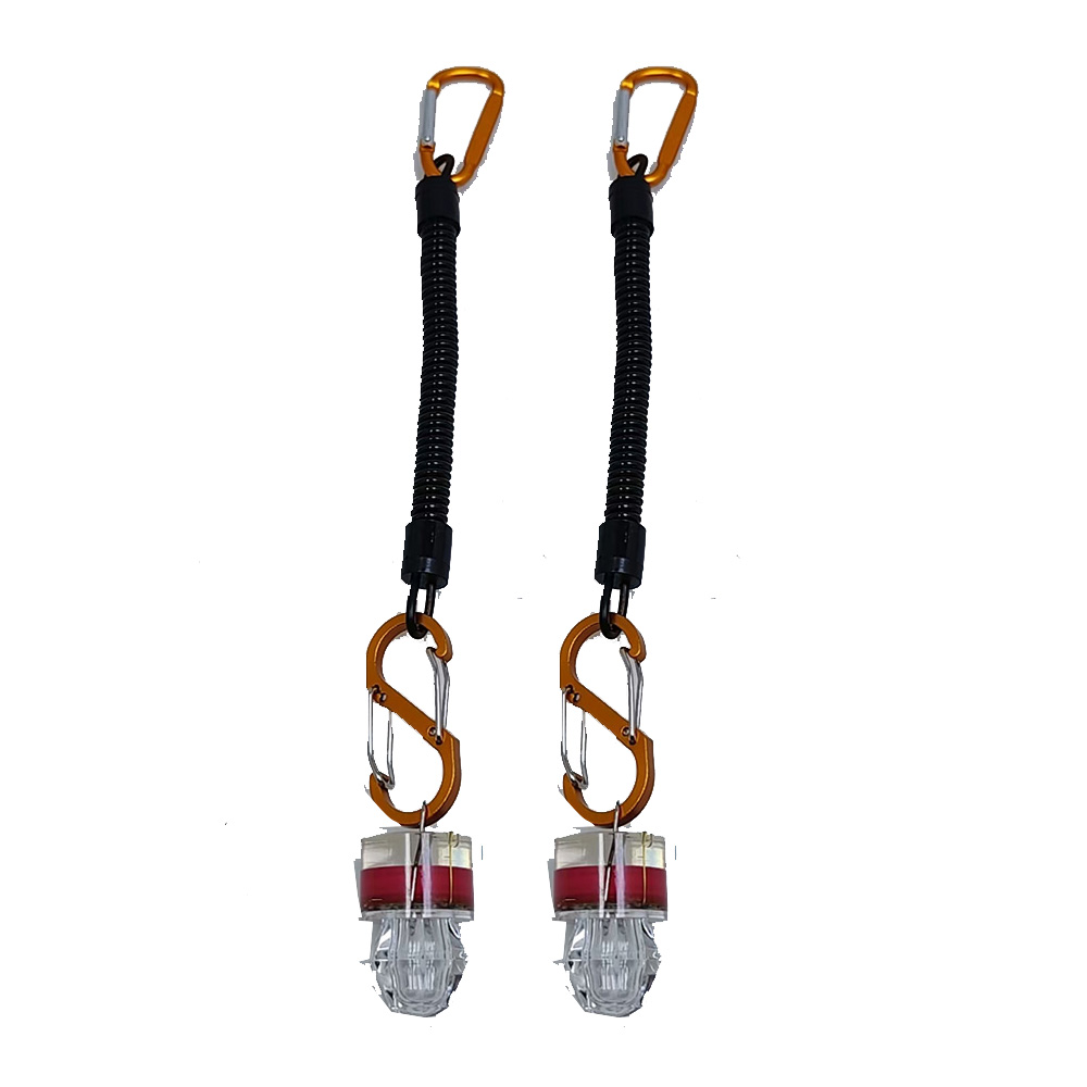 2-3 stuks LED-vislampen met to - Fish Alarm recensie en prijs